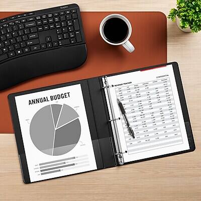 ANNUAL BUDGET REVENUE