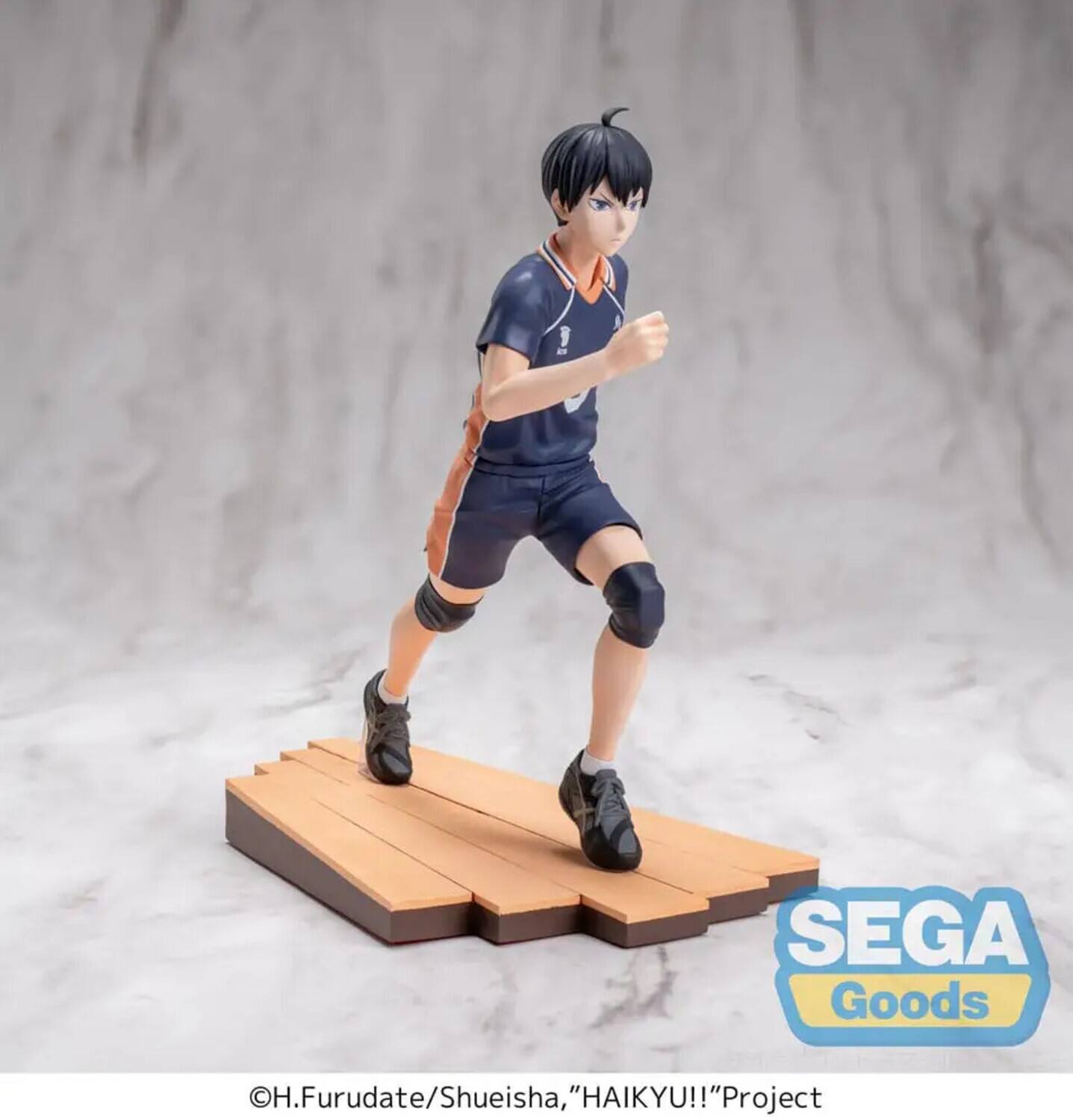 SEGA Goods  
H. Furudate/Shueisha, "HAIKYU!!" Project
