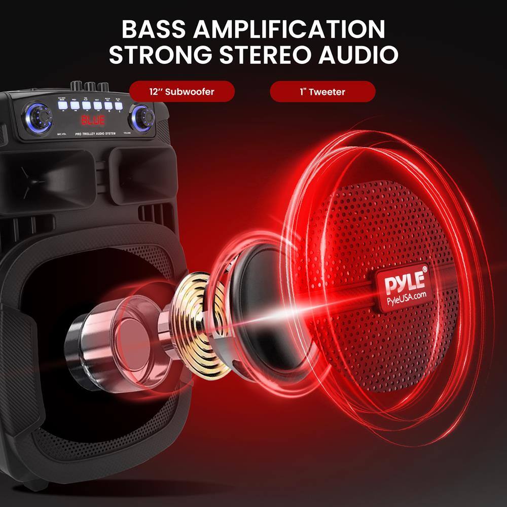 BASS AMPLIFICATION  
STRONG STEREO AUDIO  

12" Subwoofer  
1" Tweeter  

PYLE  
PyleUSA.com