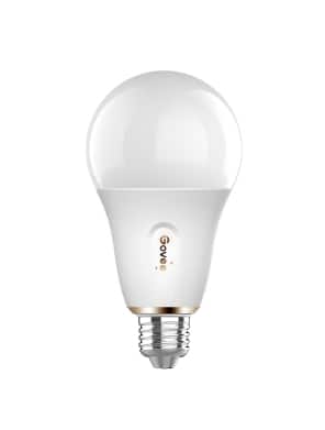 Govee - 500LM RGBWW Smart G25 LED Bulb 2 pack price history on PriceWatchPro