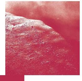 David Allred - Cell - VINYL LP