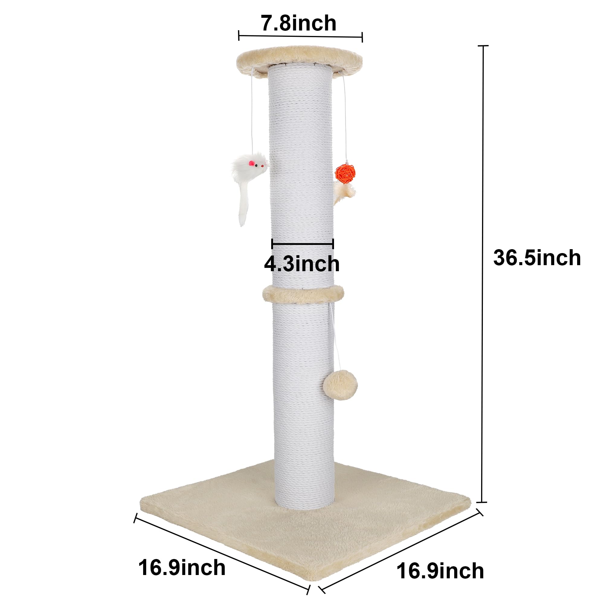 7.8 inch  
4.3 inch  
36.5 inch  
16.9 inch  
16.9 inch