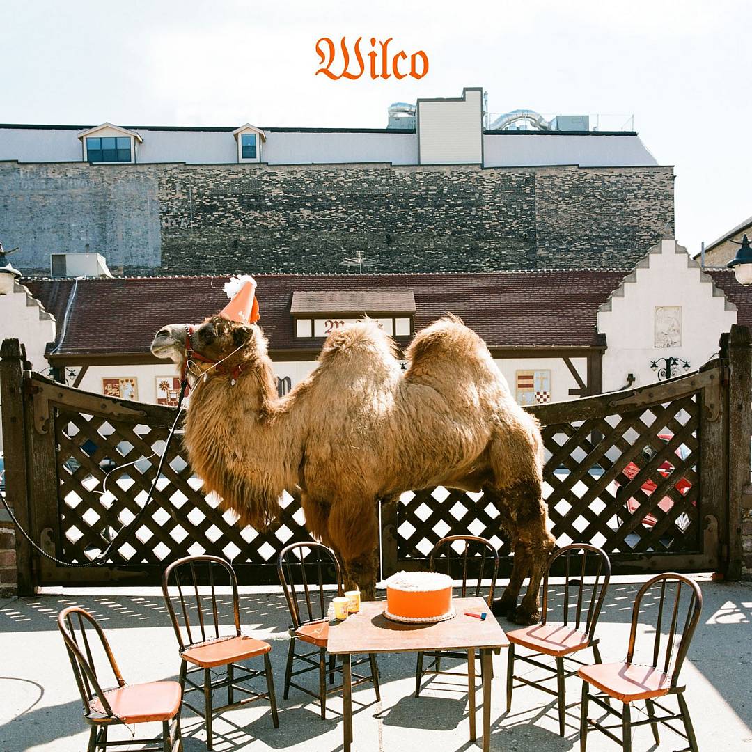 Wilco (The Album) [LP/CD] [LP] [VINYL] price history on PriceWatchPro