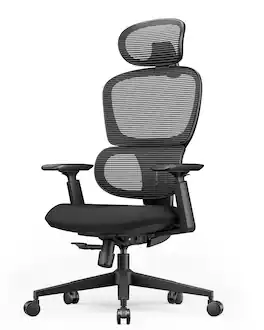 ProtoArc - Ergonomic Office Chair with Height Adjustable Backrest EC300 - Black
