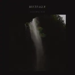 Monteagle - Colorful Moth - VINYL LP