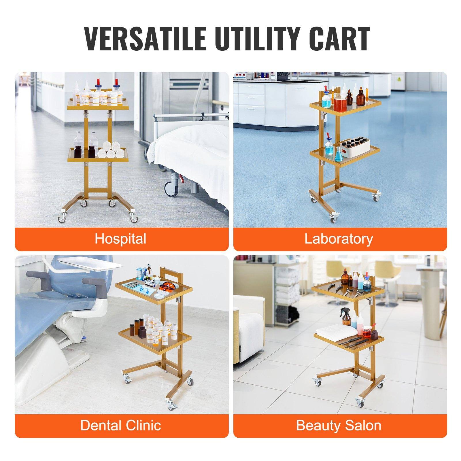 Glintex 2 Tier Stainless Steel Lab Cart with Drawers and Silent Wheels ...