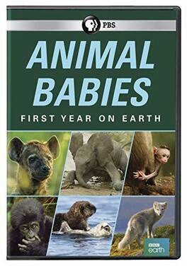 Animal Babies: First Year On Earth - DVD