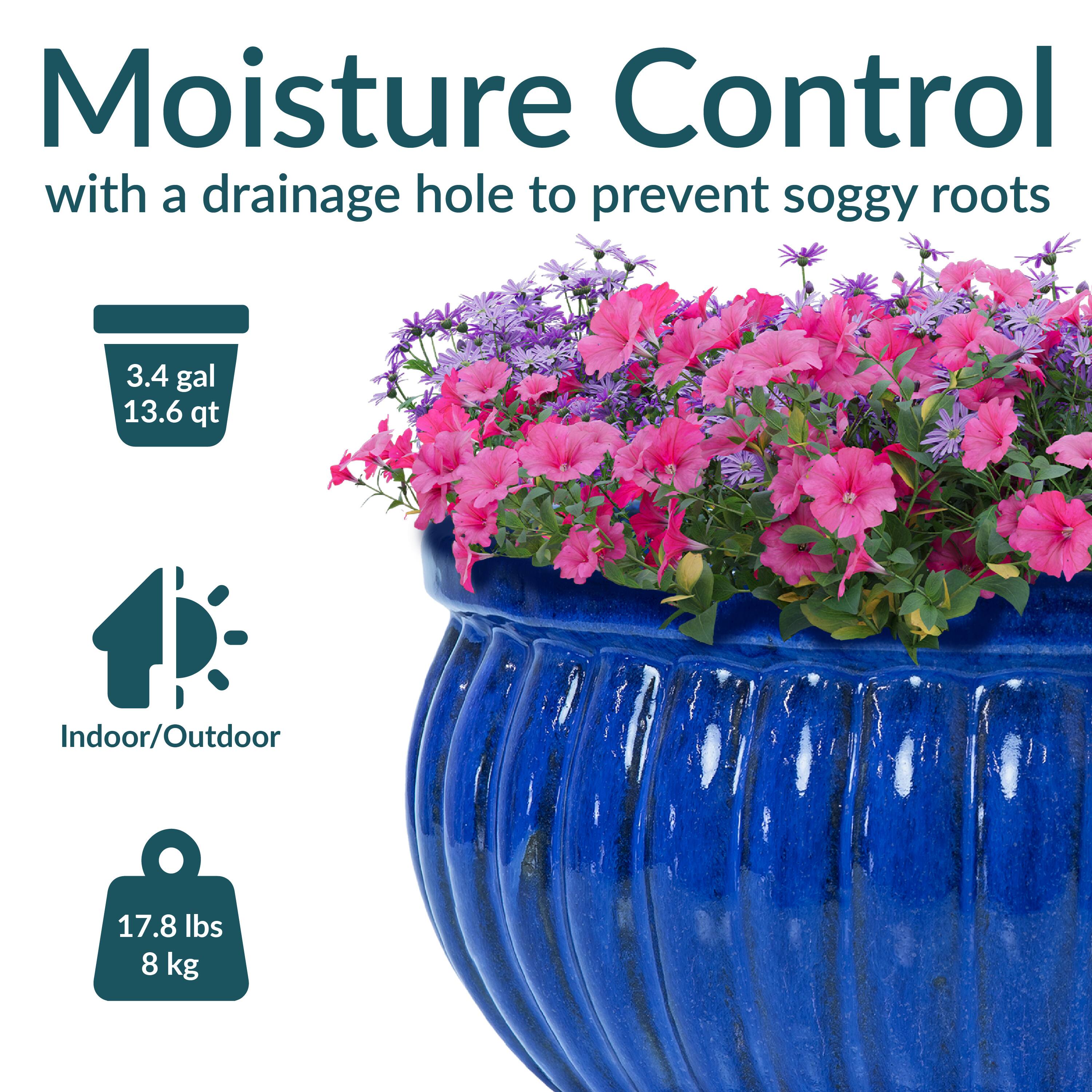 Moisture Control with a drainage hole to prevent soggy roots

3.4 gal  
13.6 qt

Indoor/Outdoor

17.8 lbs  
8 kg