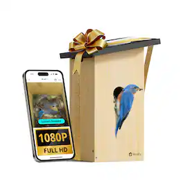 BIRDFY - Smart Bird House, Solar Powered, 1080P HD Live View Bird House w/ Camera, Perfect Viewing Bird Nesting and Hatching - Ebony