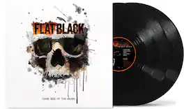 Flat Black - Dark Side Of The Brain - VINYL LP