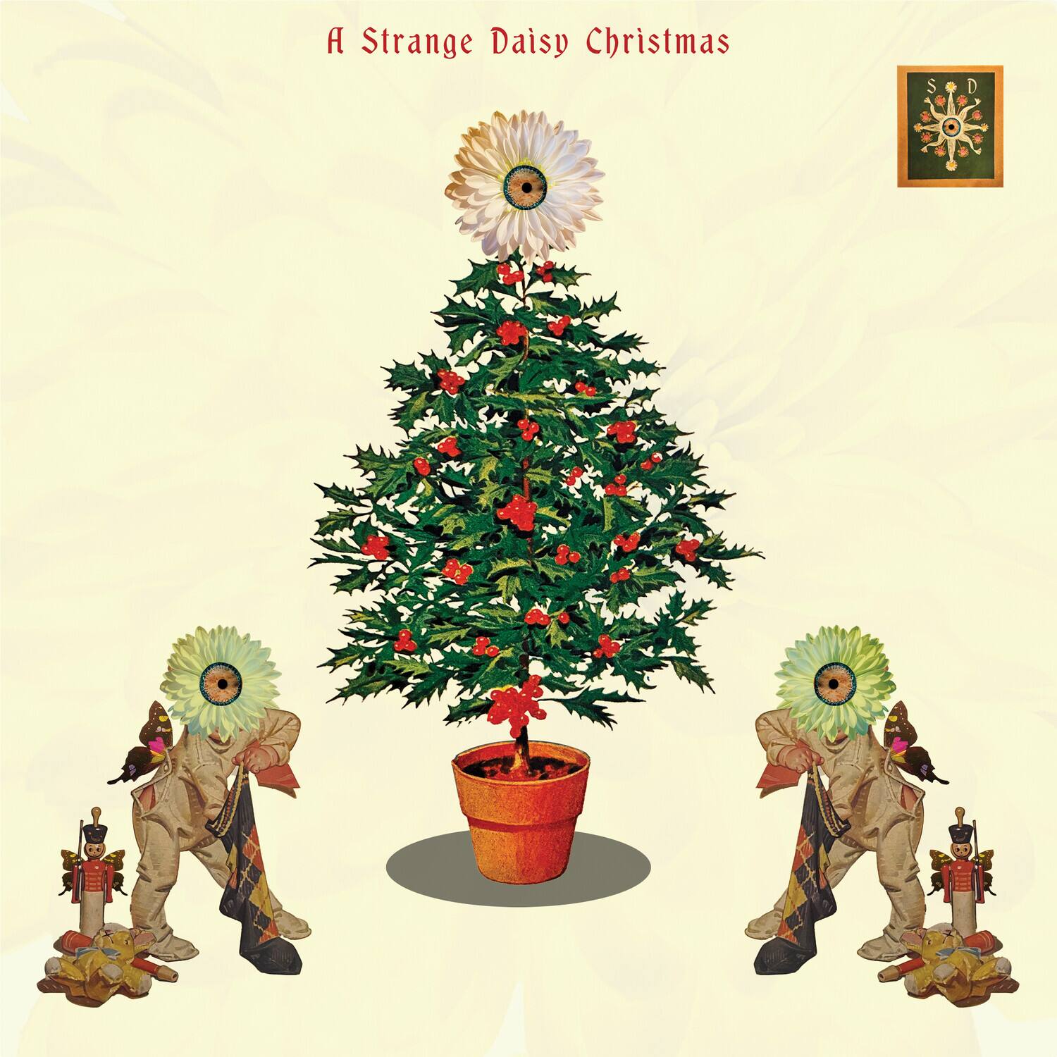 A Strange Daisy Christmas

S D