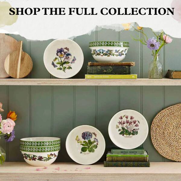 SHOP THE FULL COLLECTION

BRITISH INSECTS