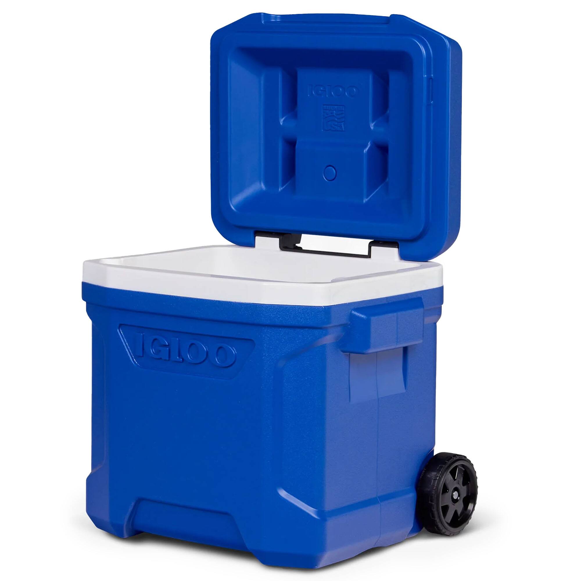 IGLOO