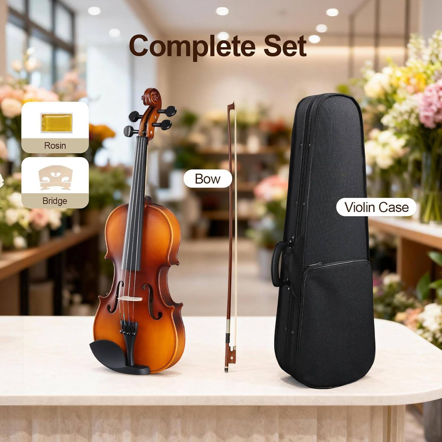 Winado GV104 All In One Violin/Fiddle Kit Comes with Hard Case, Bow ...