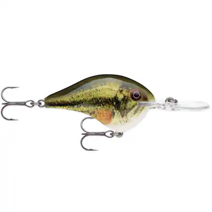 Front. Rapala - Rapala Dives-To 10, Fishing Lure, Live Largemouth Bass - Live Largemouth Bass.