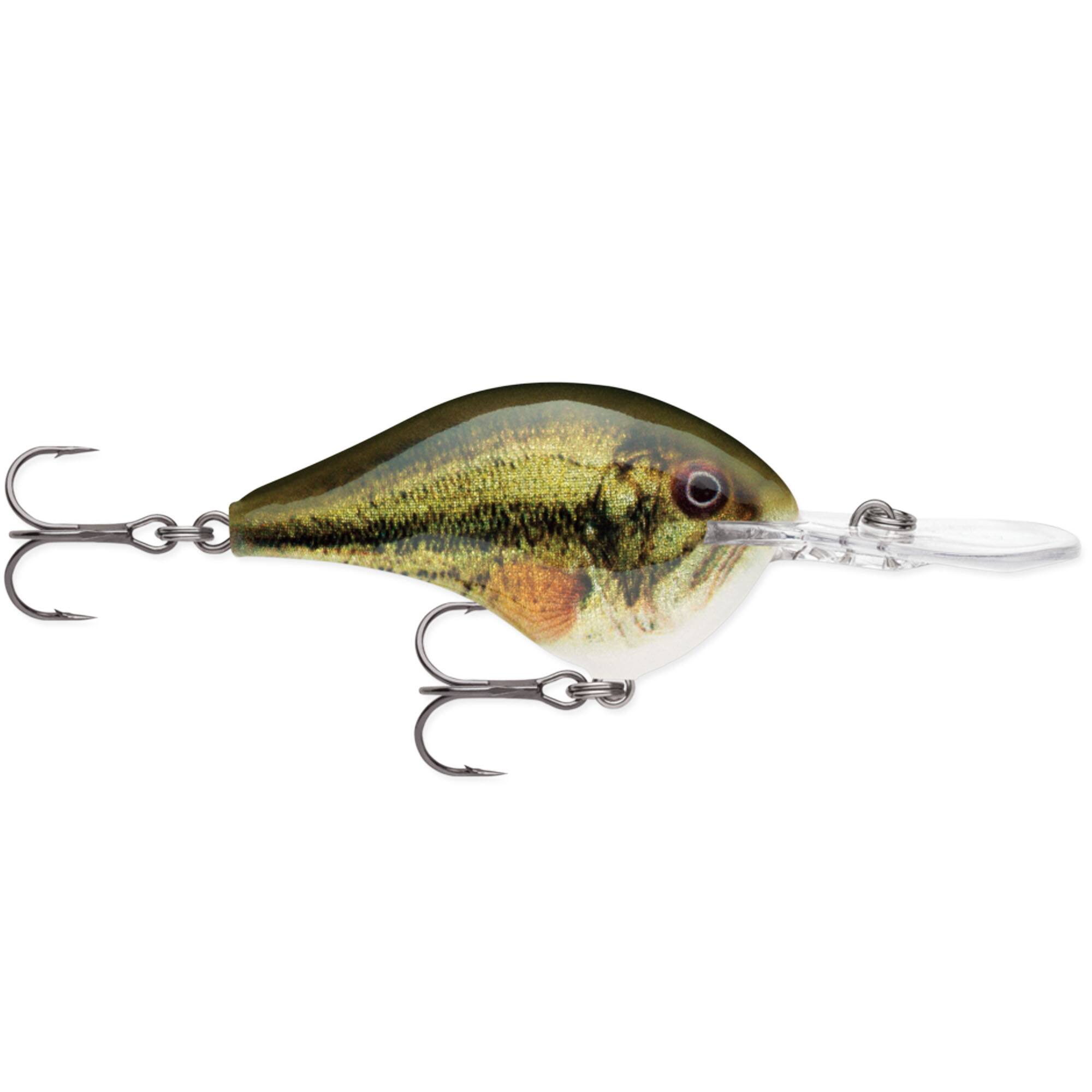 Live Largemouth Bass