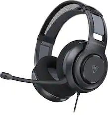 The text on the image is "TURTLE BEACH."