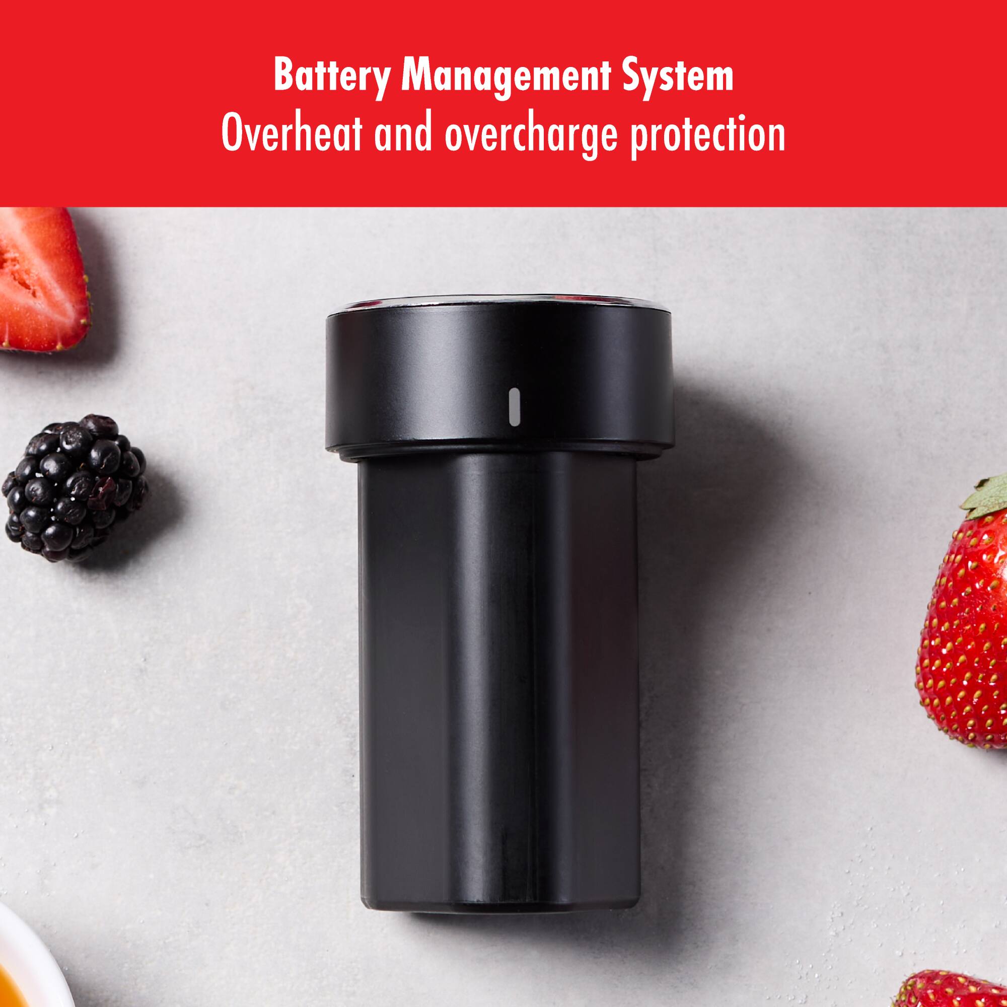 Battery Management System  
Overheat and overcharge protection