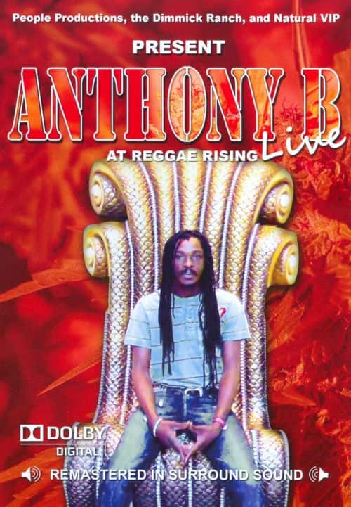 Best Buy: Live at Reggae Rising [DVD]