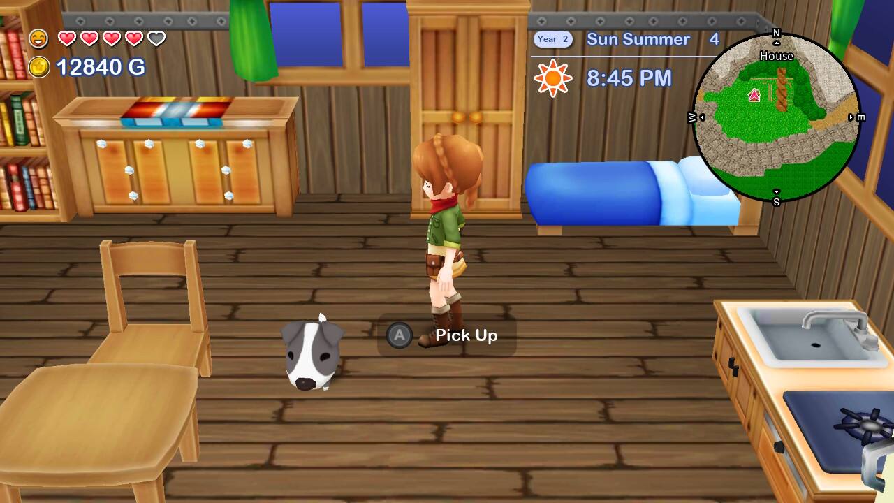 Harvest Moon: The Lost Valley & Skytree Village Nintendo Switch