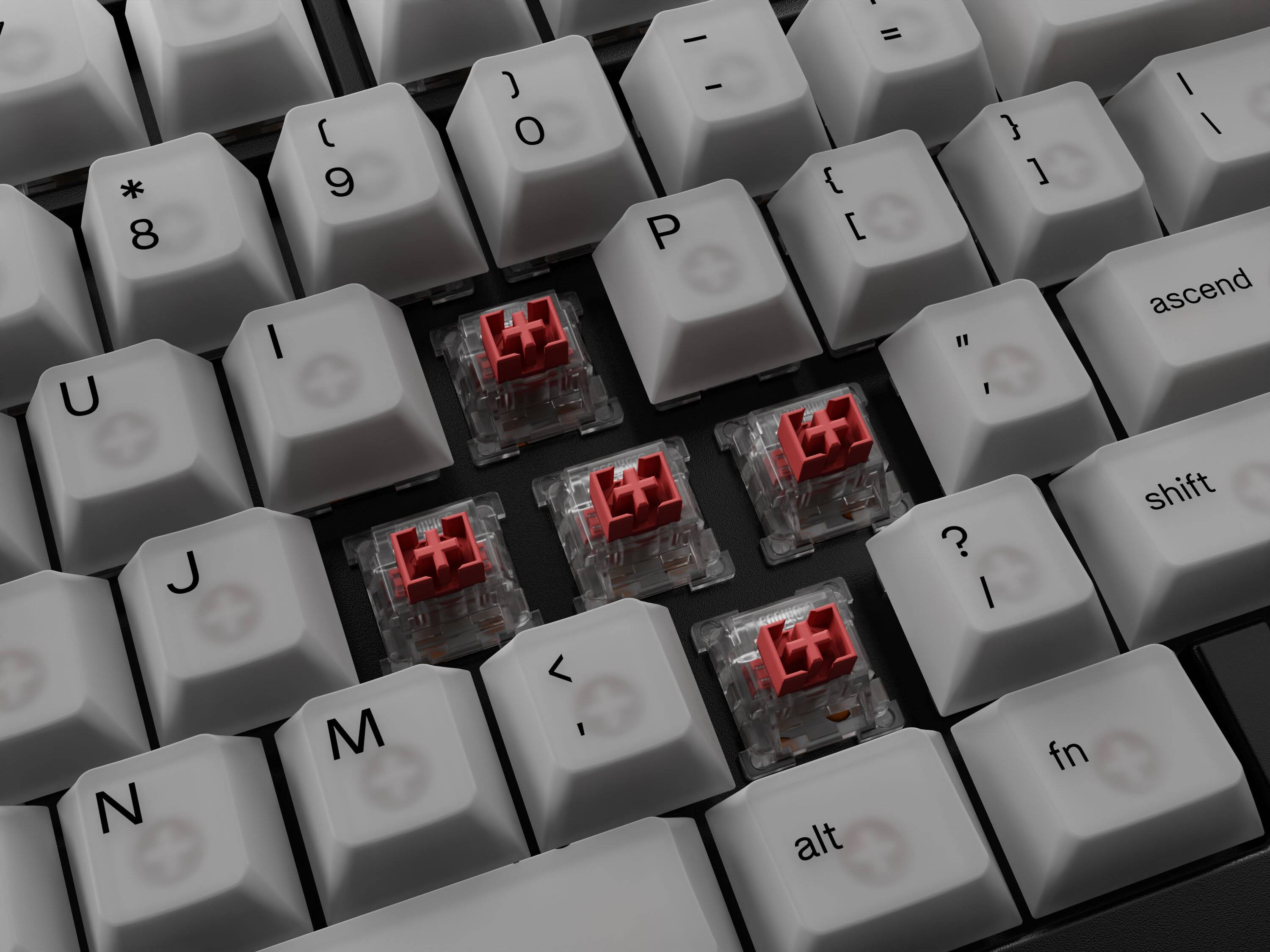 Glorious Polychroma Translucent RGB Keycaps Translucent GLOKBACCKC