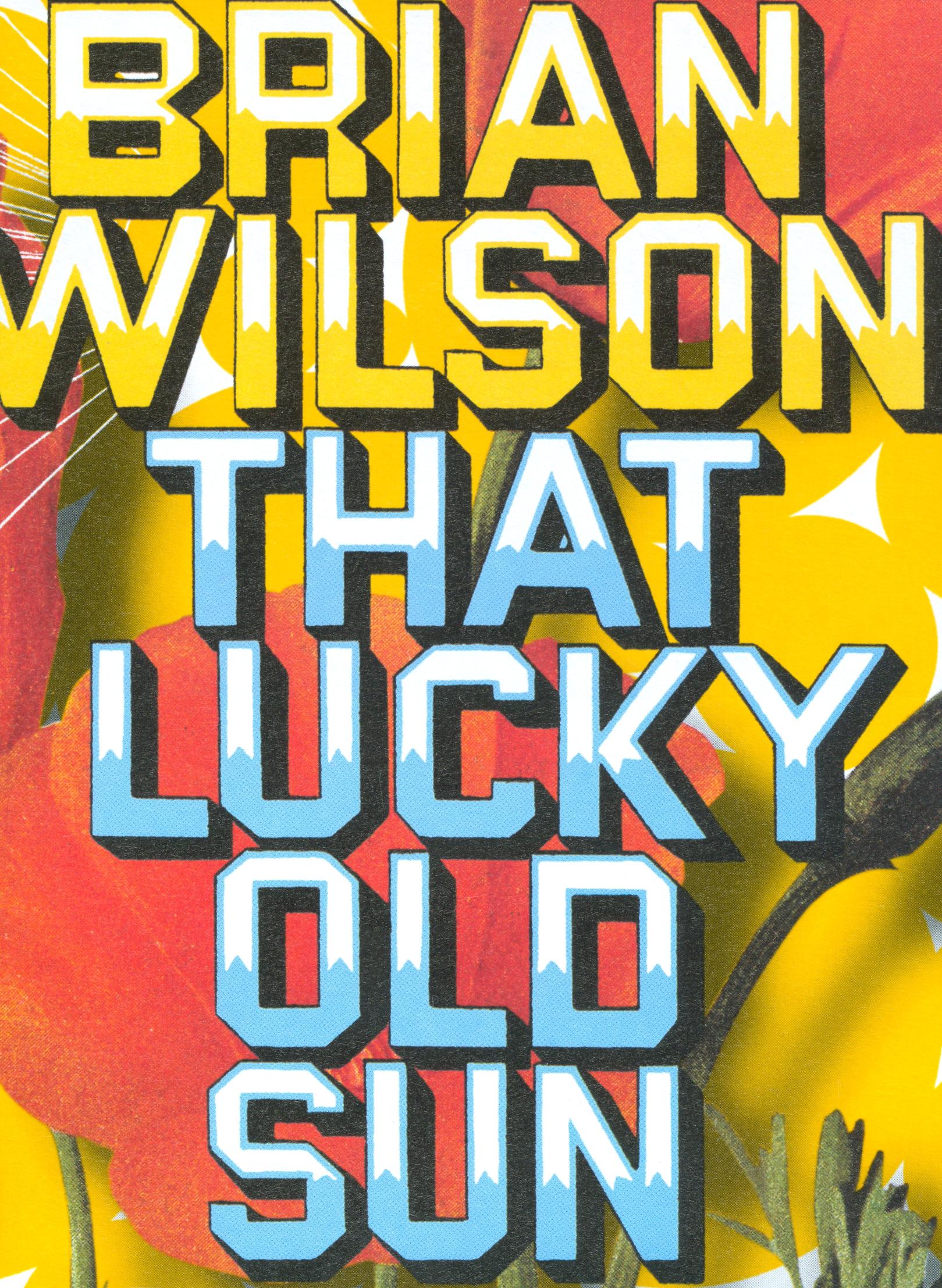 Best Buy: Brian Wilson: That Lucky Old Sun [DVD]