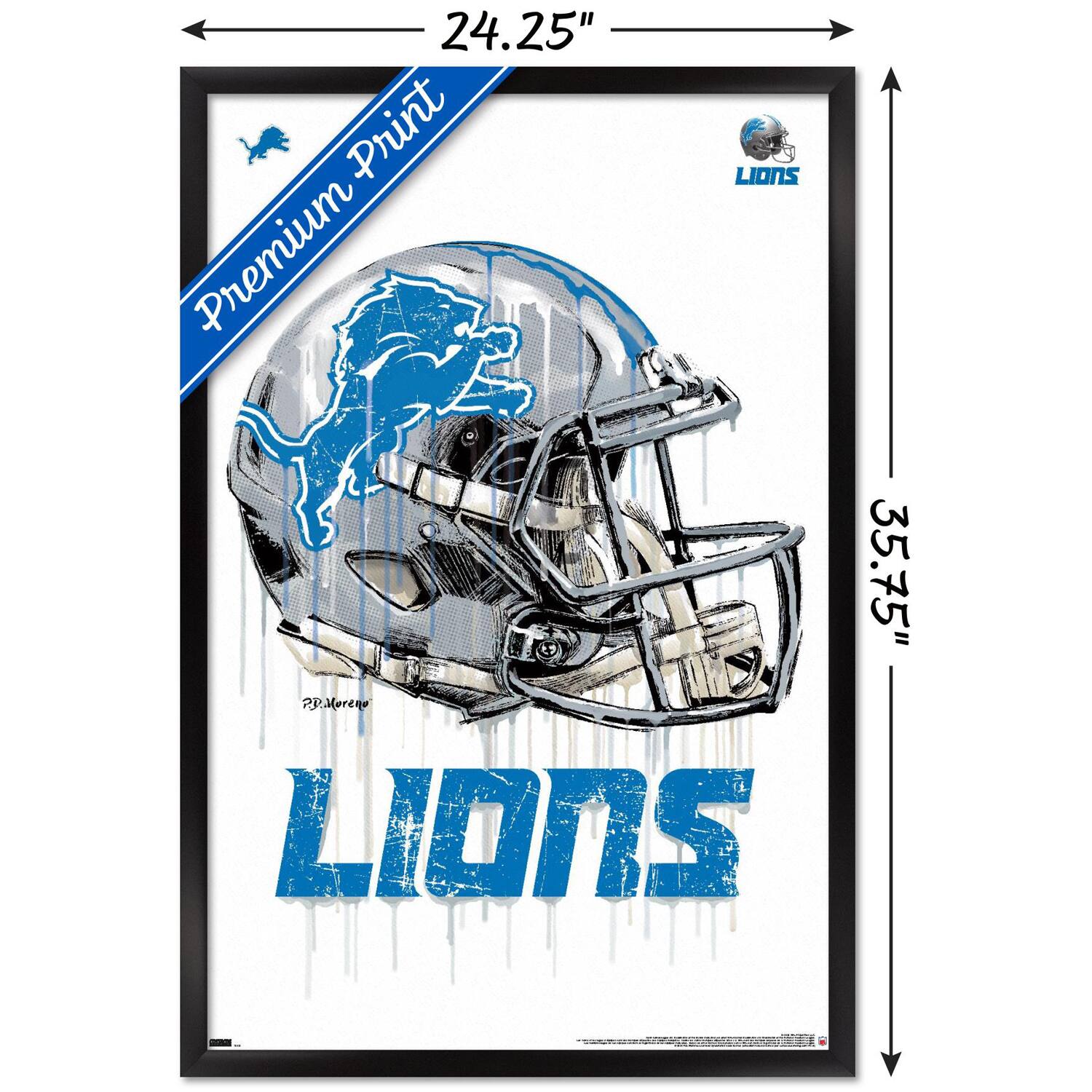 24.25" x 35.75"  
Premium Print  
LIONS