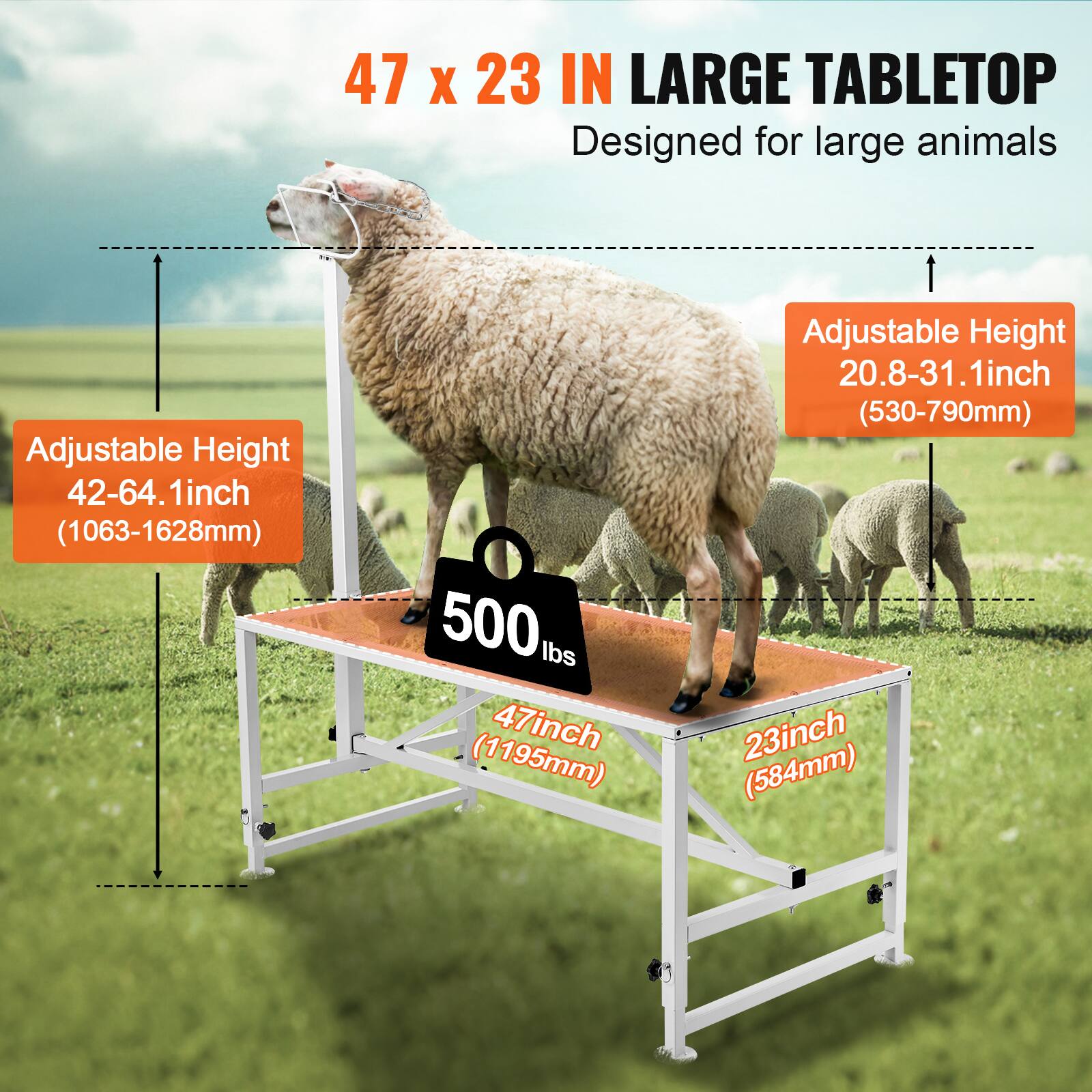 47 x 23 IN LARGE TABLETOP  
Designed for large animals  

Adjustable Height: 42-64.1 inch (1063-1628mm)  
Adjustable Height: 20.8-31.1 inch (530-790mm)  
Weight Capacity: 500 lbs  

Dimensions:  
- Length: 47 inch (1195mm)  
- Width: 23 inch (584mm)