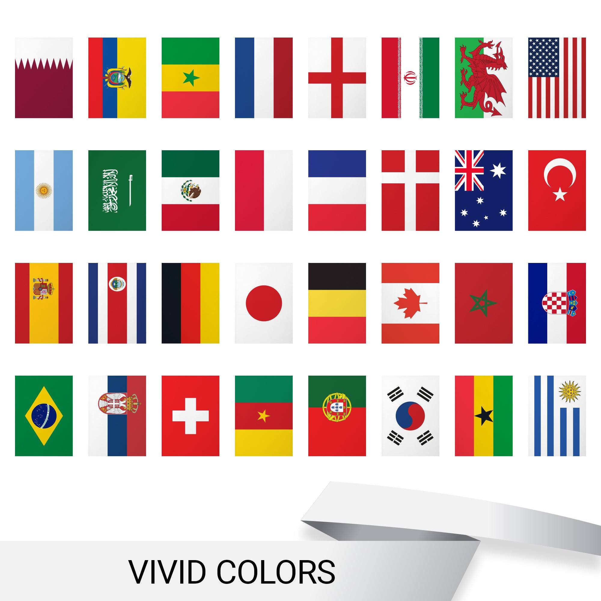 6 + VIVID COLORS