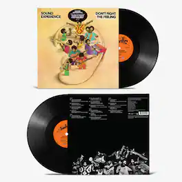 Sound Experience - Don't Fight the Feeling - VINYL LP