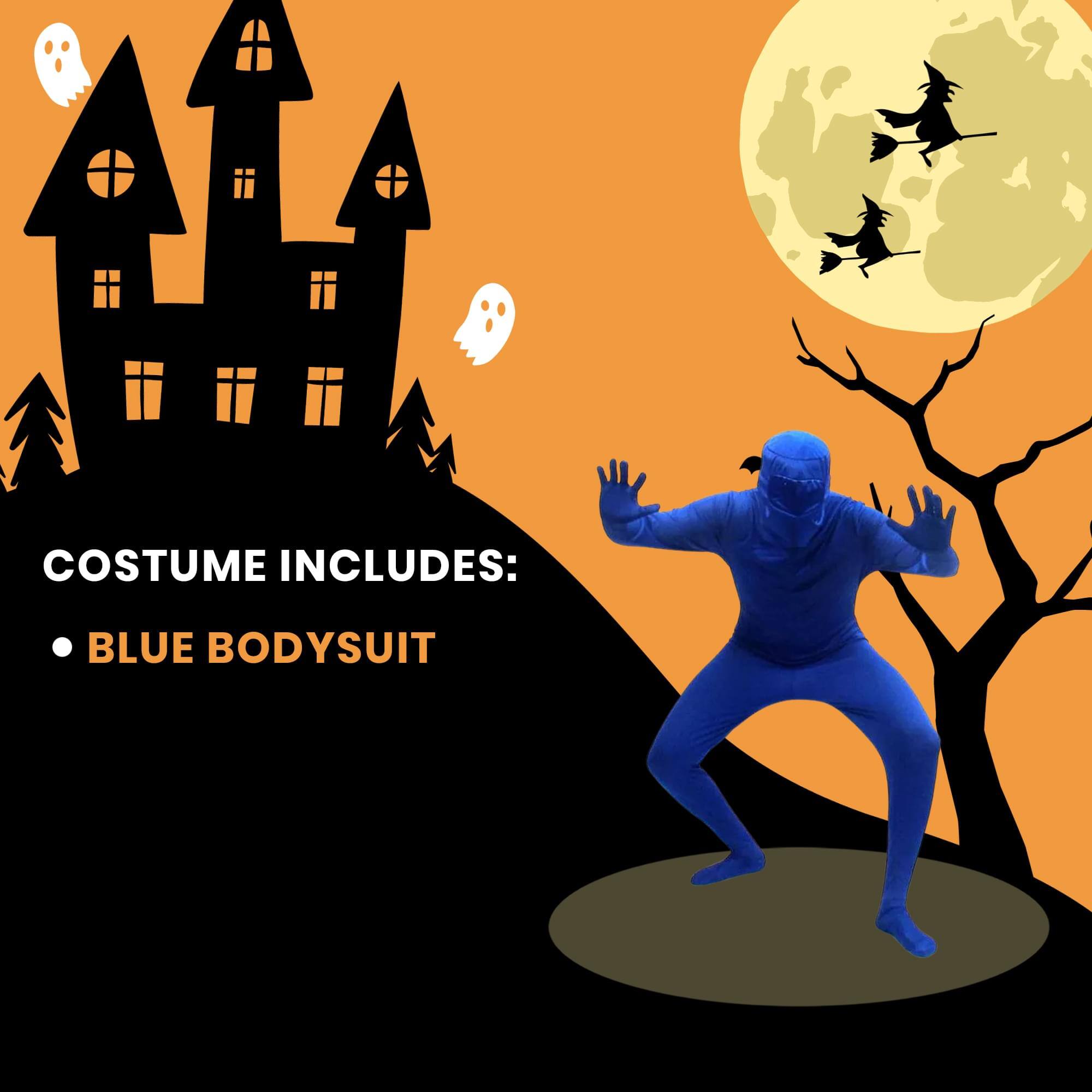 COSTUME INCLUDES:  
• BLUE BODYSUIT