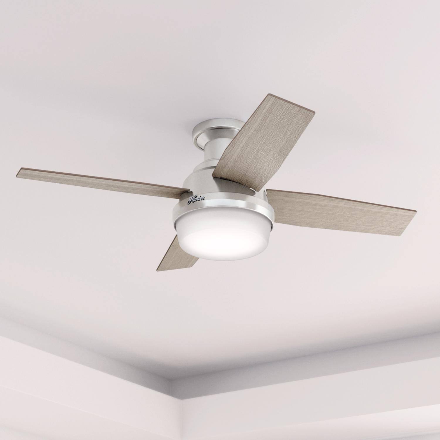 Angle. Hunter Fan - Hunter Dempsey 44 in. Brushed Nickel Silver LED Indoor Ceiling Fan.