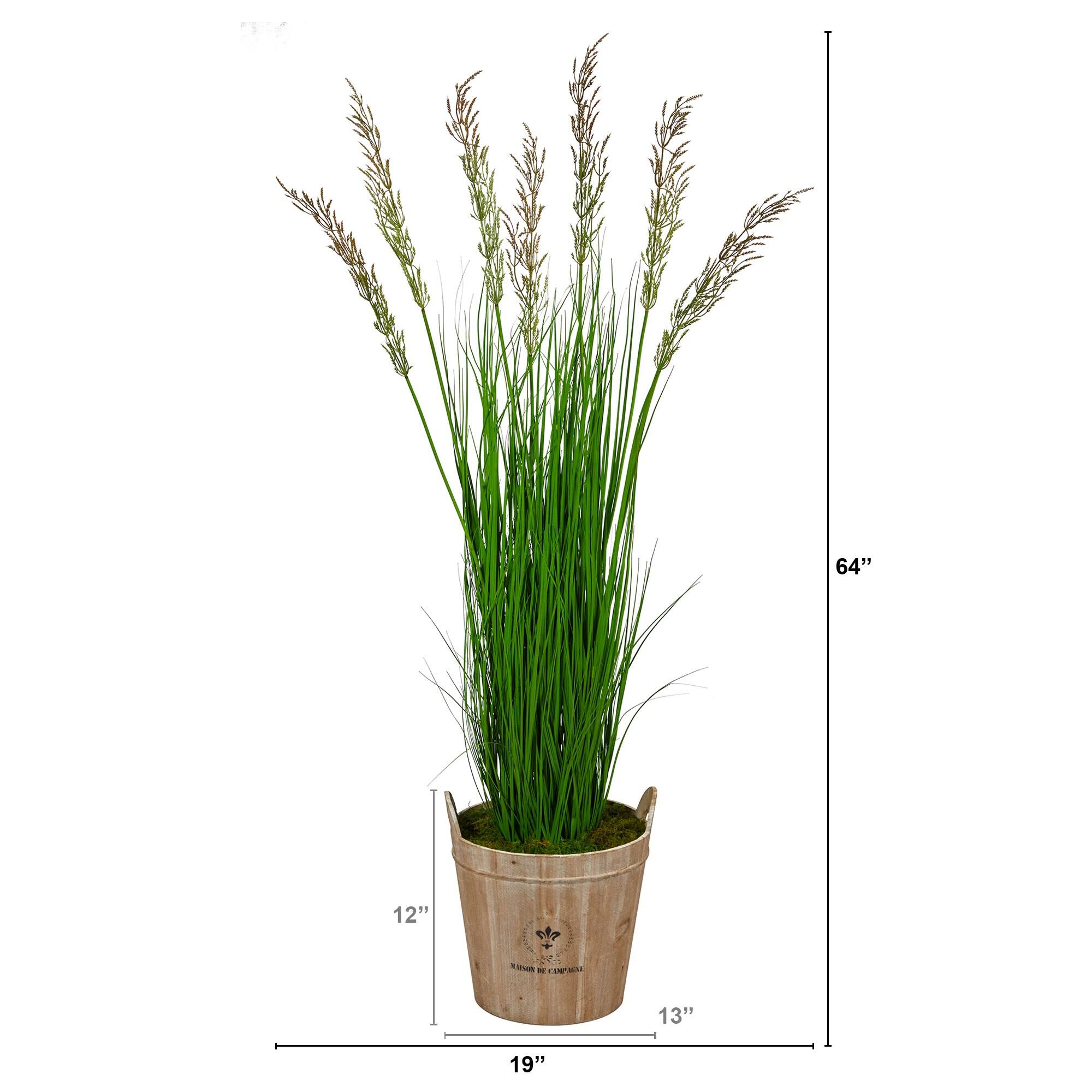 64"  
19"  
13"  
12"