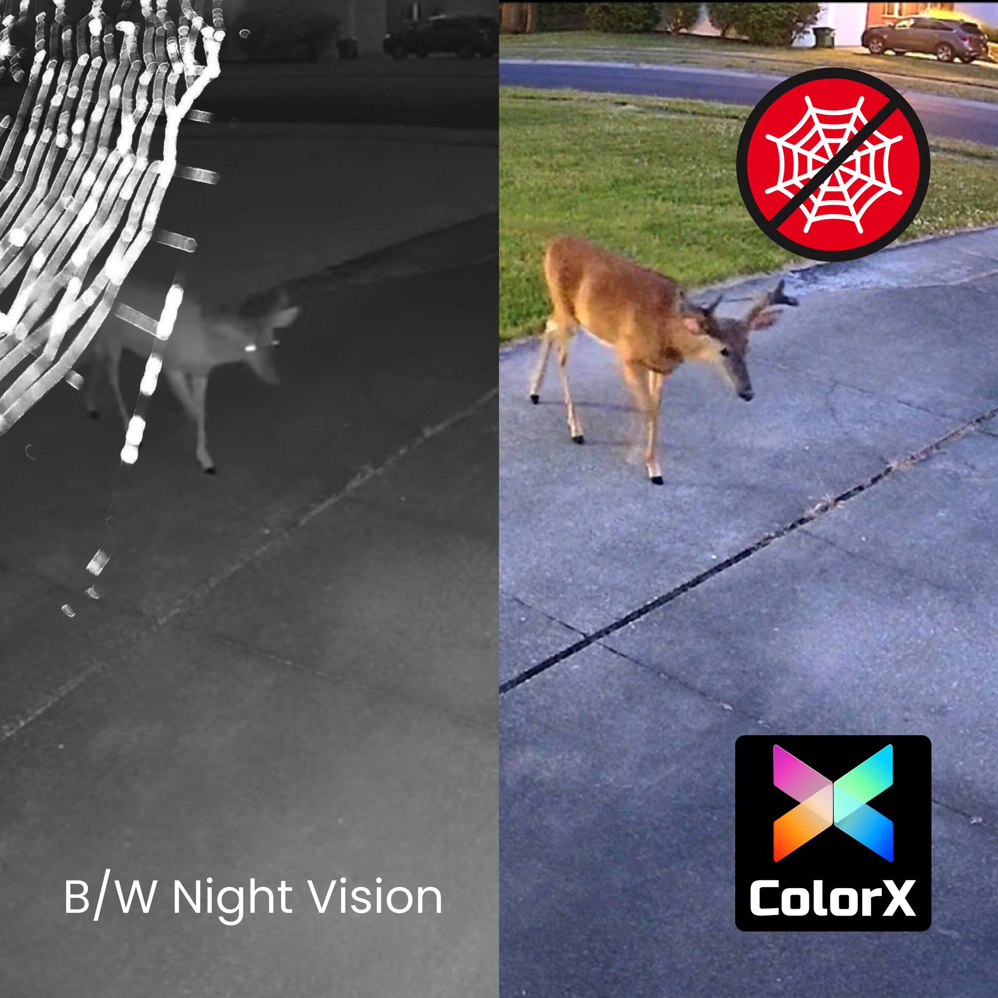 B/W Night Vision, ColorX