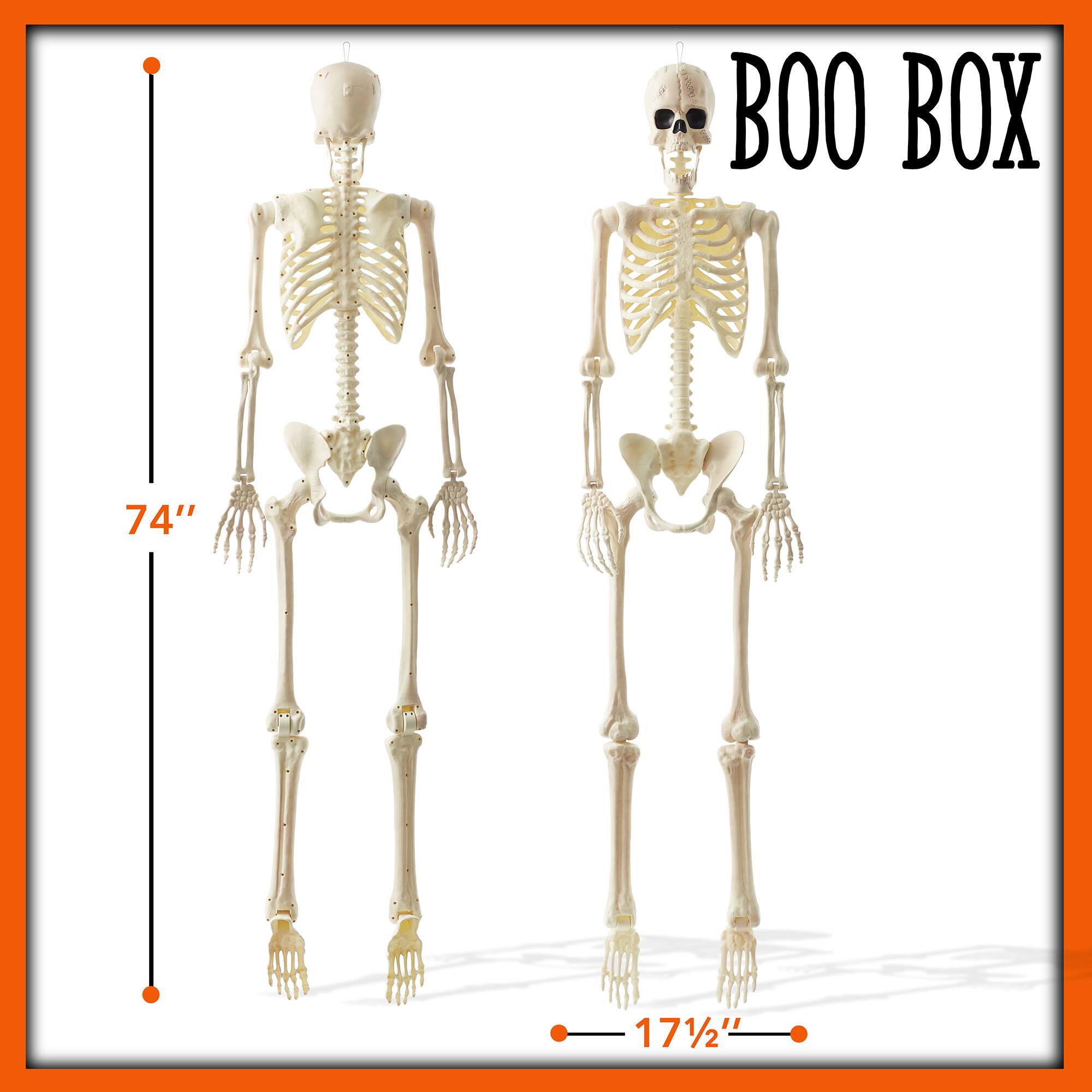 BOO BOX  
74"  
17 1/2"
