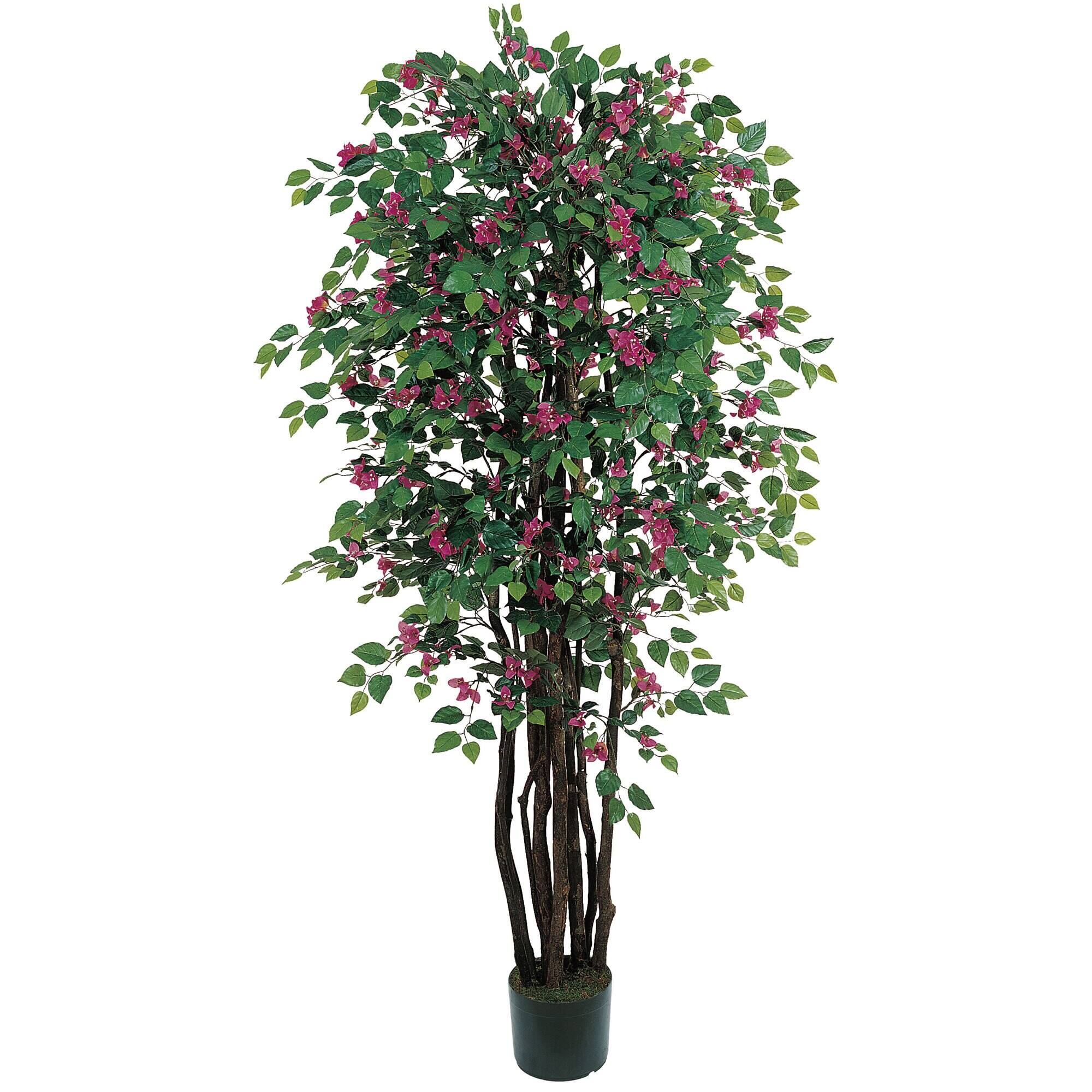 BreeBe - 6' Bougainvillea Tree w/1802 Lvs & 484 Flrs - Beauty
