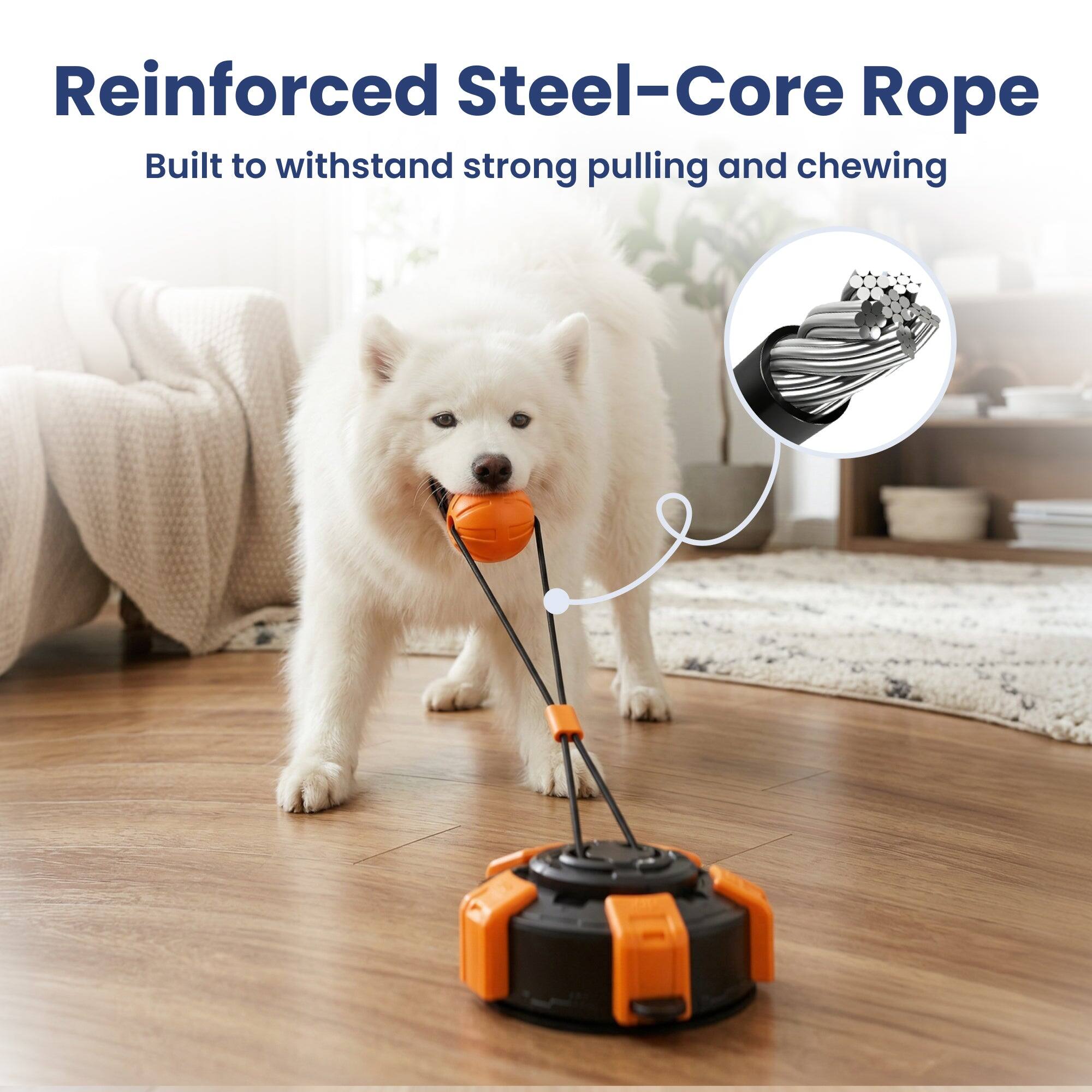 Reinforced Steel-Core Rope  
Built to withstand strong pulling and chewing