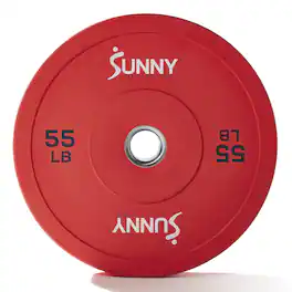 Sunny Health & Fitness - Elite 2-inch Rubber Olympic Weight Plates 55-Pound (Single) - Red