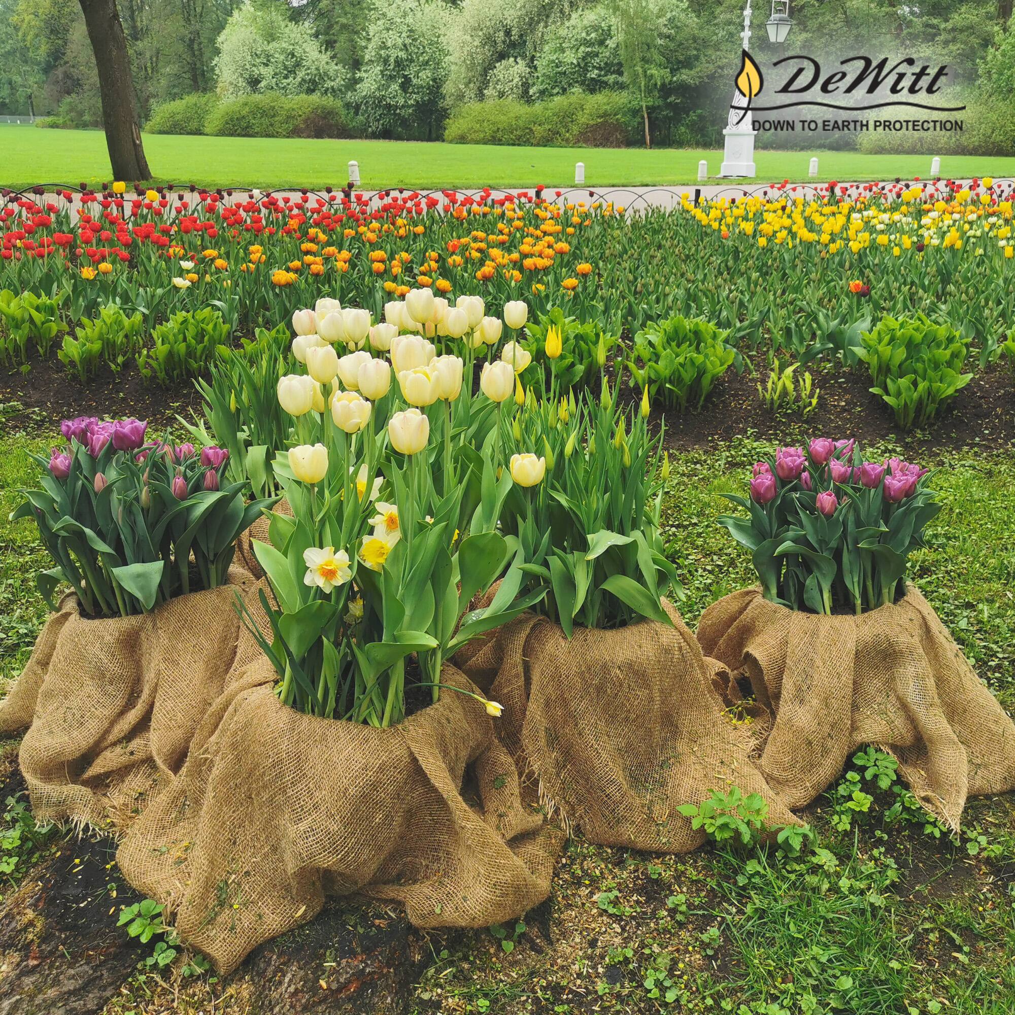 DeWitt  
DOWN TO EARTH PROTECTION