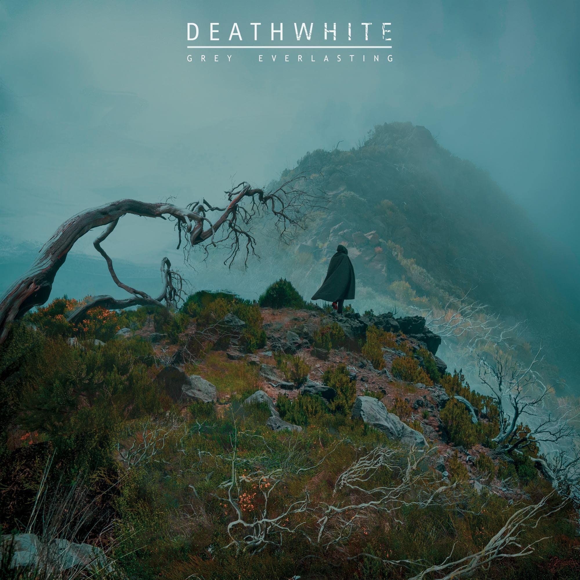 Grey Everlasting [LP] [VINYL] price history on PriceWatchPro