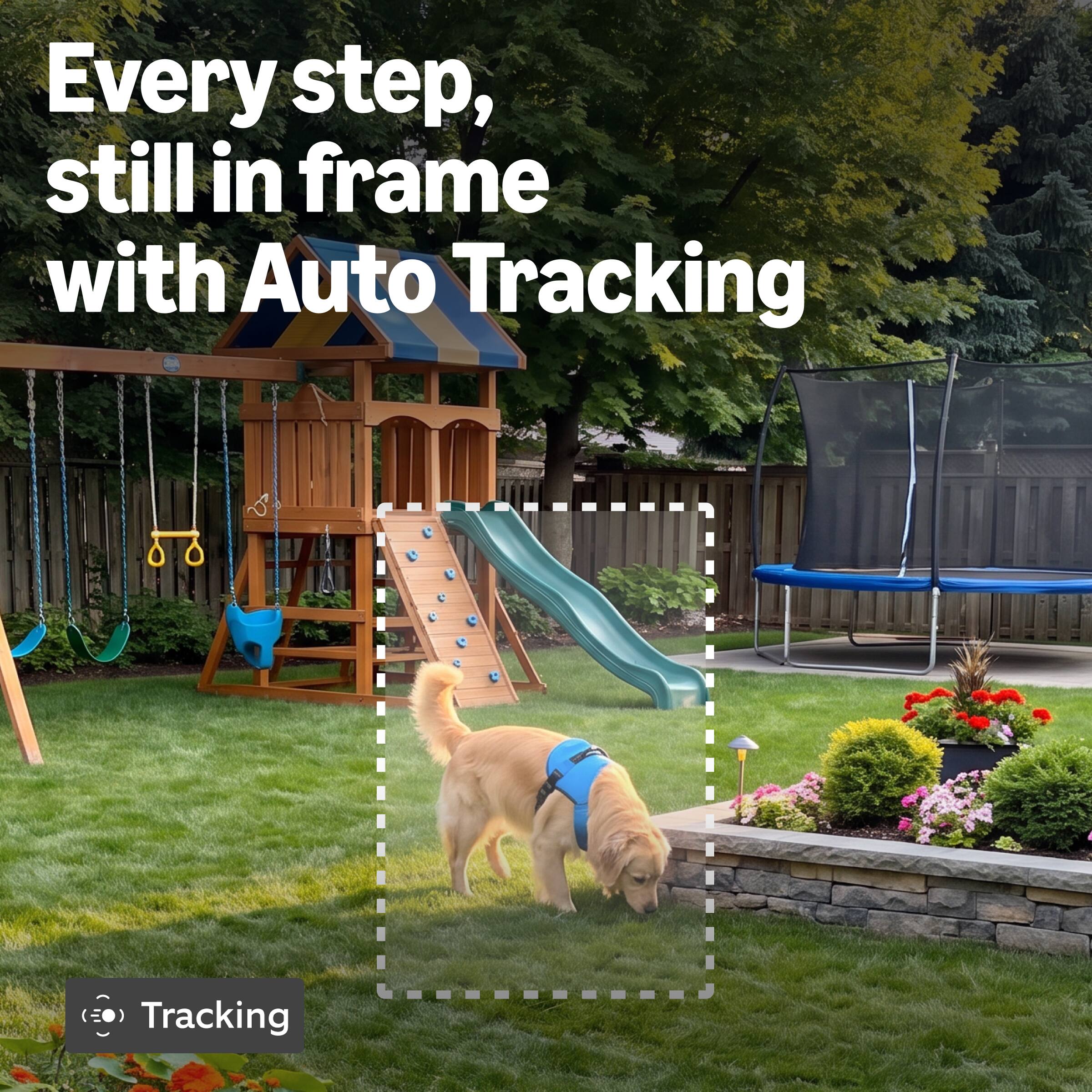 Every step, still in frame with Auto Tracking