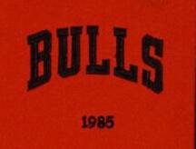 BULLS  
1985