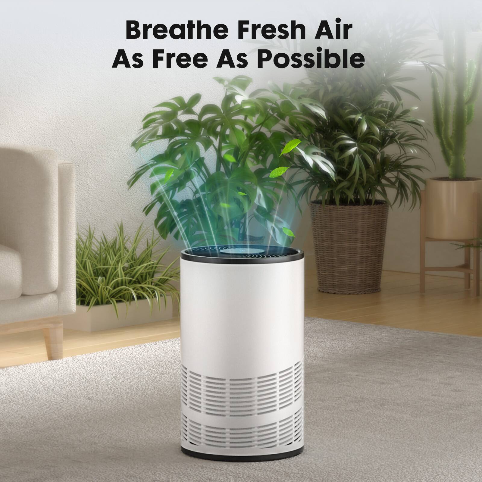 Breathe Fresh Air As Free As Possible