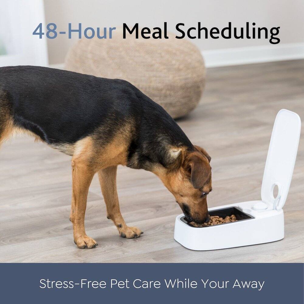 48-Hour Meal Scheduling  
Stress-Free Pet Care While You're Away