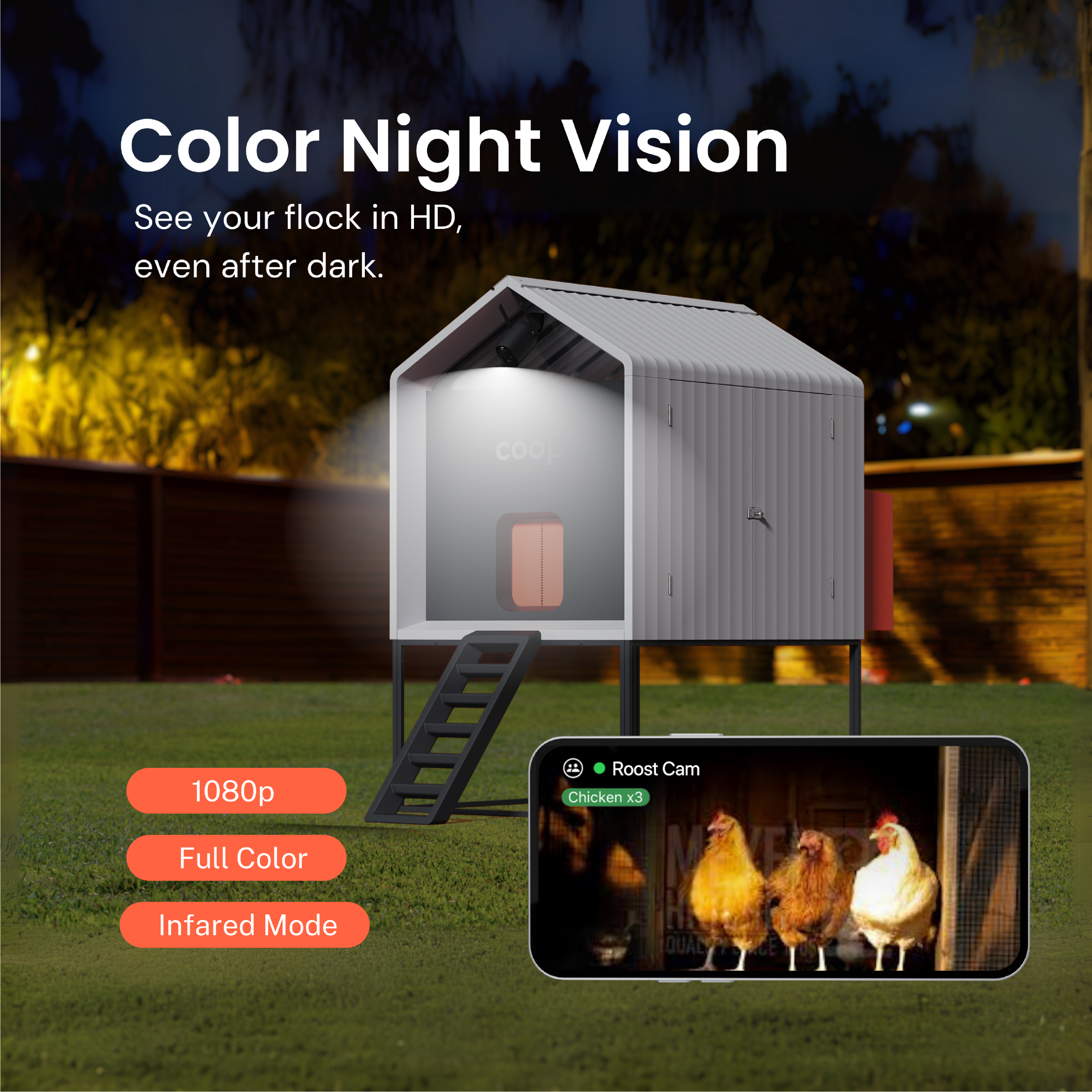 Color Night Vision  
See your flock in HD, even after dark.  

1080p  
Full Color  
Infrared Mode  

Roost Cam  
Chicken x3