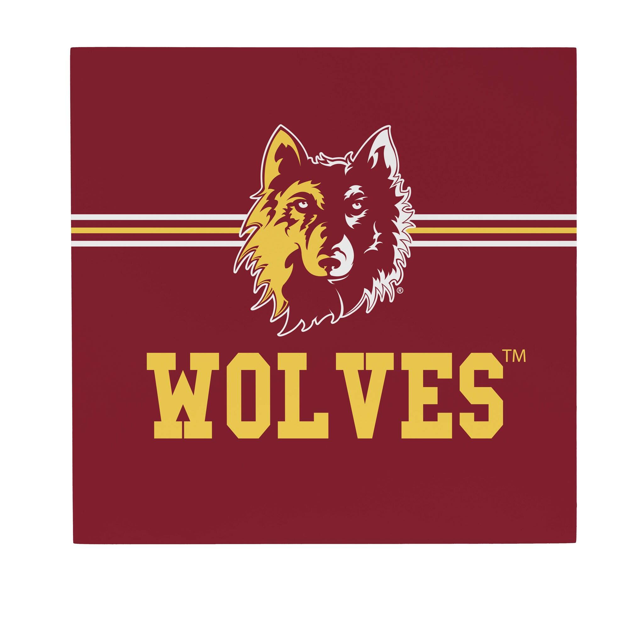 Front. Evergreen Enterprises - Northern State University Wolves 12" x 12" Wood Wall Sign - Multicolor.