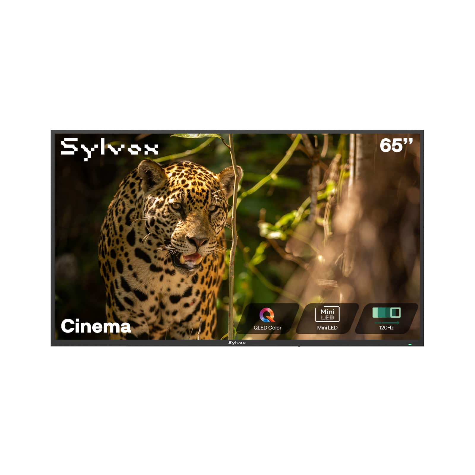 Sylvox - 65" Cinema Series Helio QLED 4K 2000Nit 120Hz IP56 Waterproof Smart Google Full Sun Outdoor TV