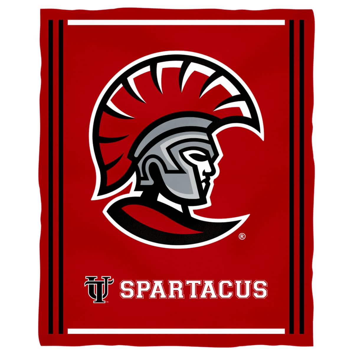Vive La Fete - University of Tampa Spartans 36'' x 48'' Children's Mascot Plush Blanket - Multicolor