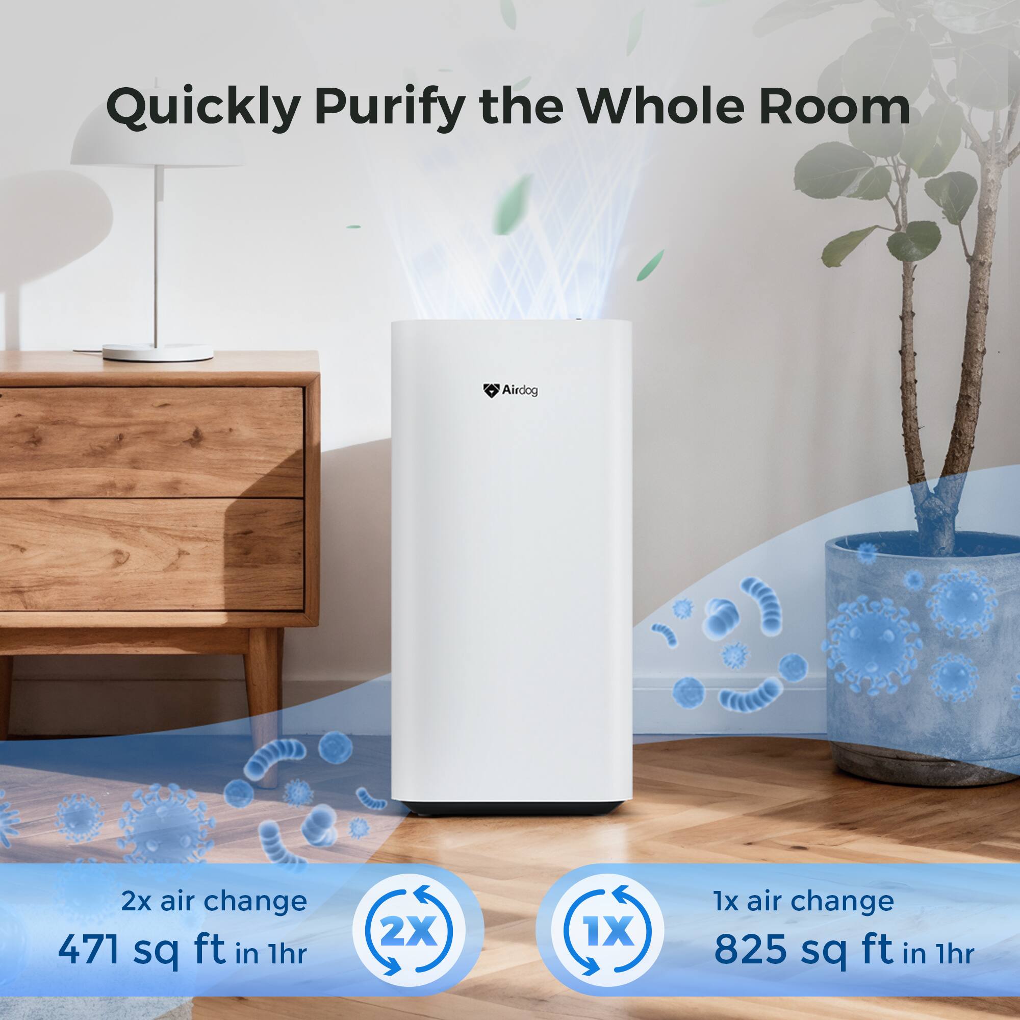 Quickly Purify the Whole Room

2x air change  
471 sq ft in 1hr

1x air change  
825 sq ft in 1hr