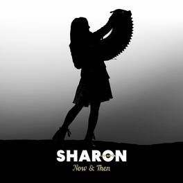 Sharon Shannon - Now & Then: A Retrospective Box Set - VINYL LP